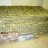 babboy_saudoi