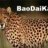 BaoDaiKa