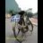 Te_thien_dai_thanh
