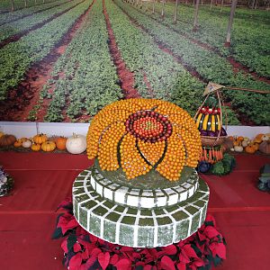 Festival Hoa Đà Lạt !