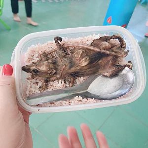 Mời mọi người ăn trưa