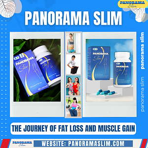 Panorama Slim - The journey of fat loss and muscle gain