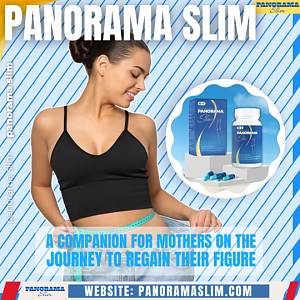 Panorama Slim - A companion for mothers on the journey to regain their figure