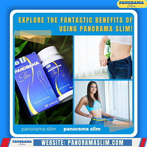 Explore the fantastic benefits of using Panorama Slim