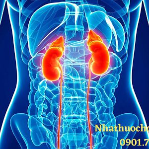 Ung thư thận: Nguyên nhân, dấu hiệu và điều trị bệnh