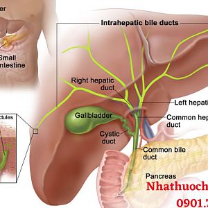 Các phương pháp điều trị ung thư đường mật
