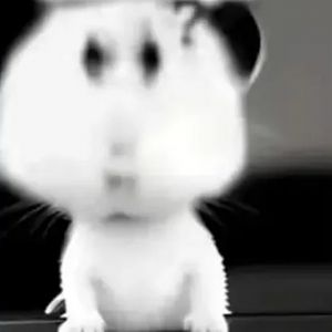 Chinh Phục Thế Giới Với 79King