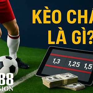 Keo-chap-la-gi-m88