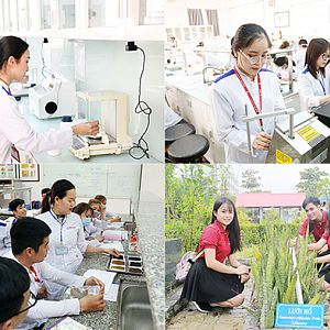 Ngành Dược Học