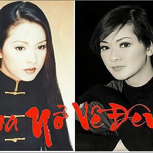 HOA NỞ VỀ ĐÊM -- NHƯ QUỲNH [MV Lossless] - YouTube