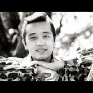 Tango Xanh( Blue Tango)- Elvis Phương - YouTube