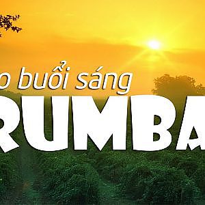 100 Tình Khúc Hòa Tấu Guitar RUMBA nhẹ nhàng, bay bổng cực thư thái cho ly Cafe buổi sáng - YouTube