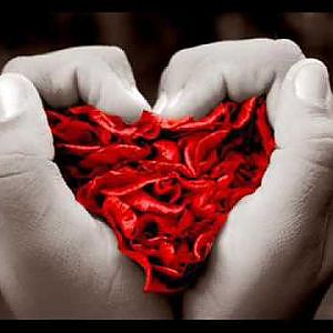 WHEN YOU TELL ME THAT YOU LOVE ME  - DIANA ROSS - YouTube