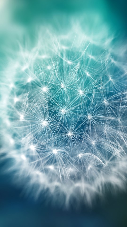 11986432_637464893062134_5918896665318779869_n
