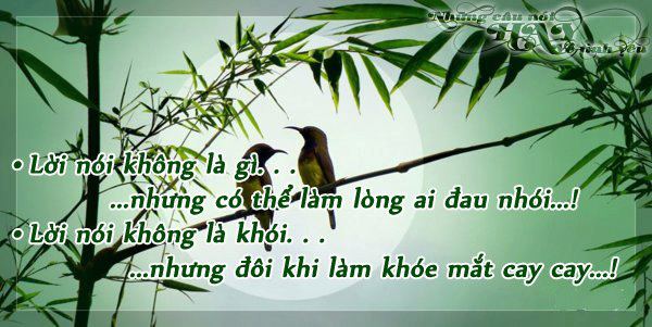 A-NHOI LONG