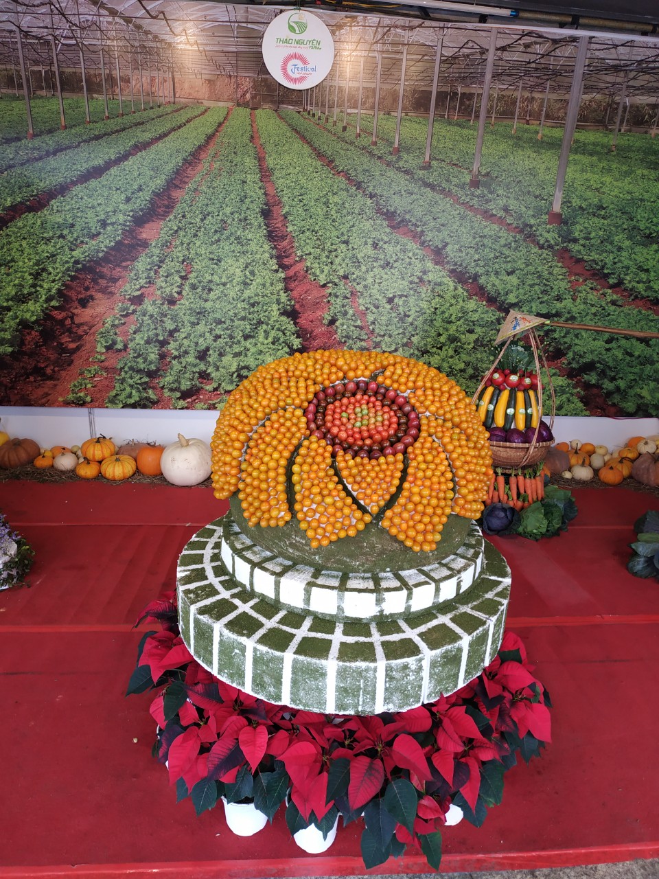 Festival Hoa Đà Lạt !