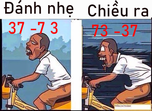Hoakieu2