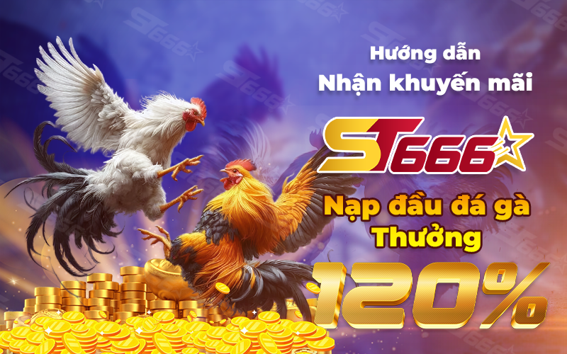 HƯỚNG DẪN NHẬN KHUYẾN MÃI ST666