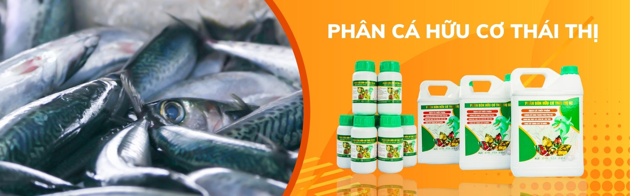 Phan-bon-huu-co-thai-thi (4)