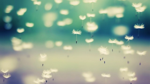 Tumblr_static_tumblr_static_7peodsrzfw08ocwk80k804g08_640